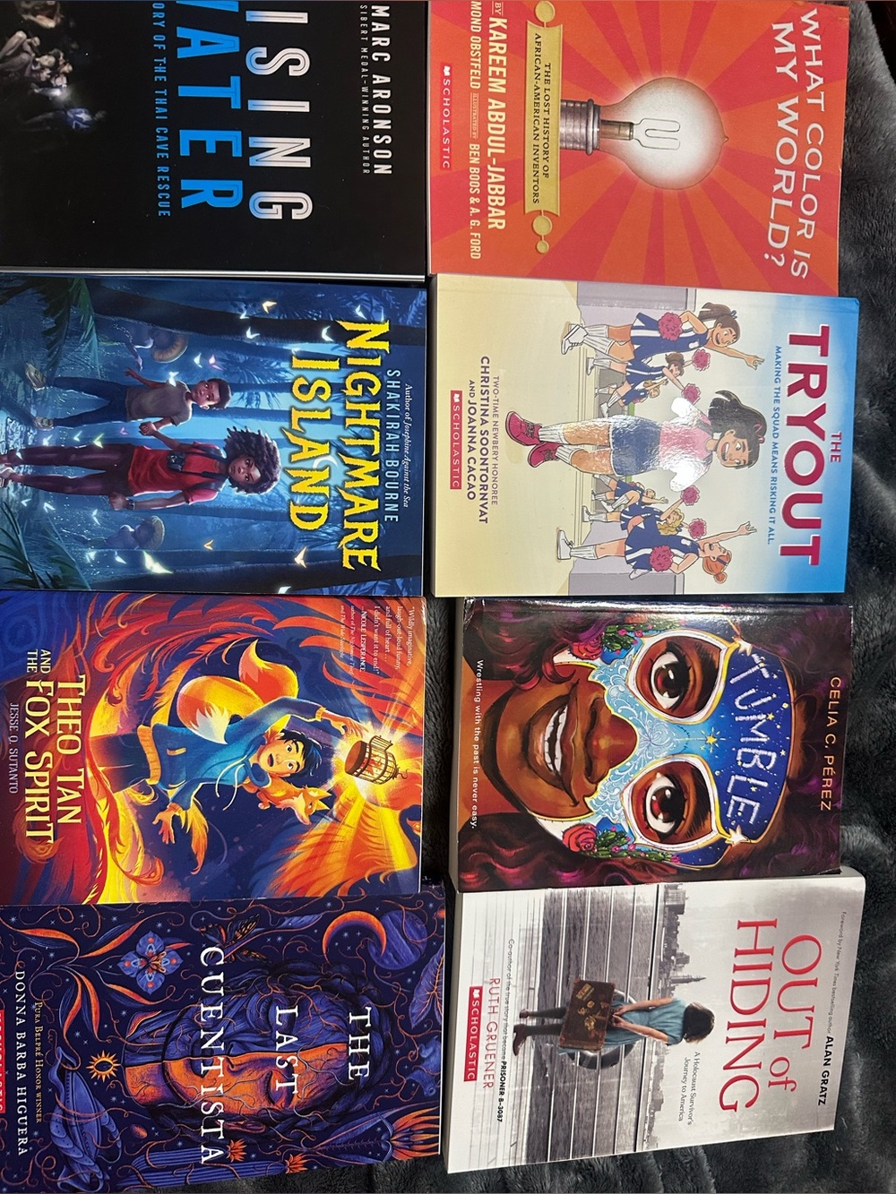 Lot of scholastic books
